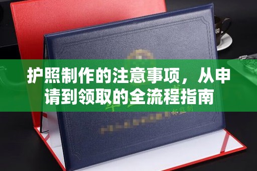 融安护照制作的注意事项，从申请到领取的全流程指南