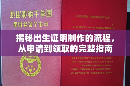 融安揭秘出生证明制作的流程，从申请到领取的完整指南