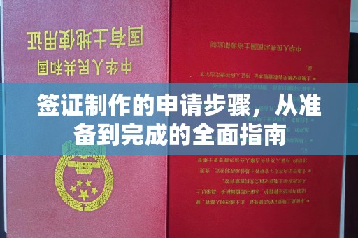融安签证制作的申请步骤，从准备到完成的全面指南