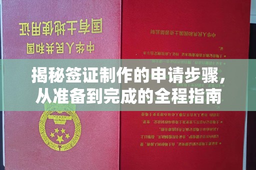 融安揭秘签证制作的申请步骤，从准备到完成的全程指南