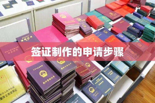 融安签证制作的申请步骤